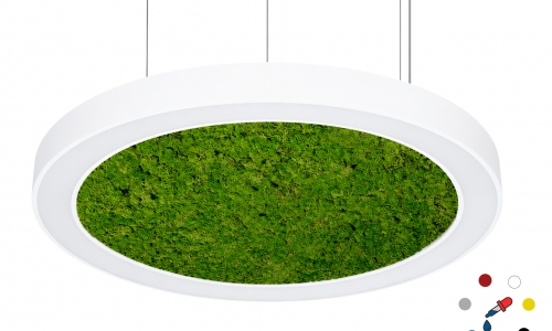 forma-29256